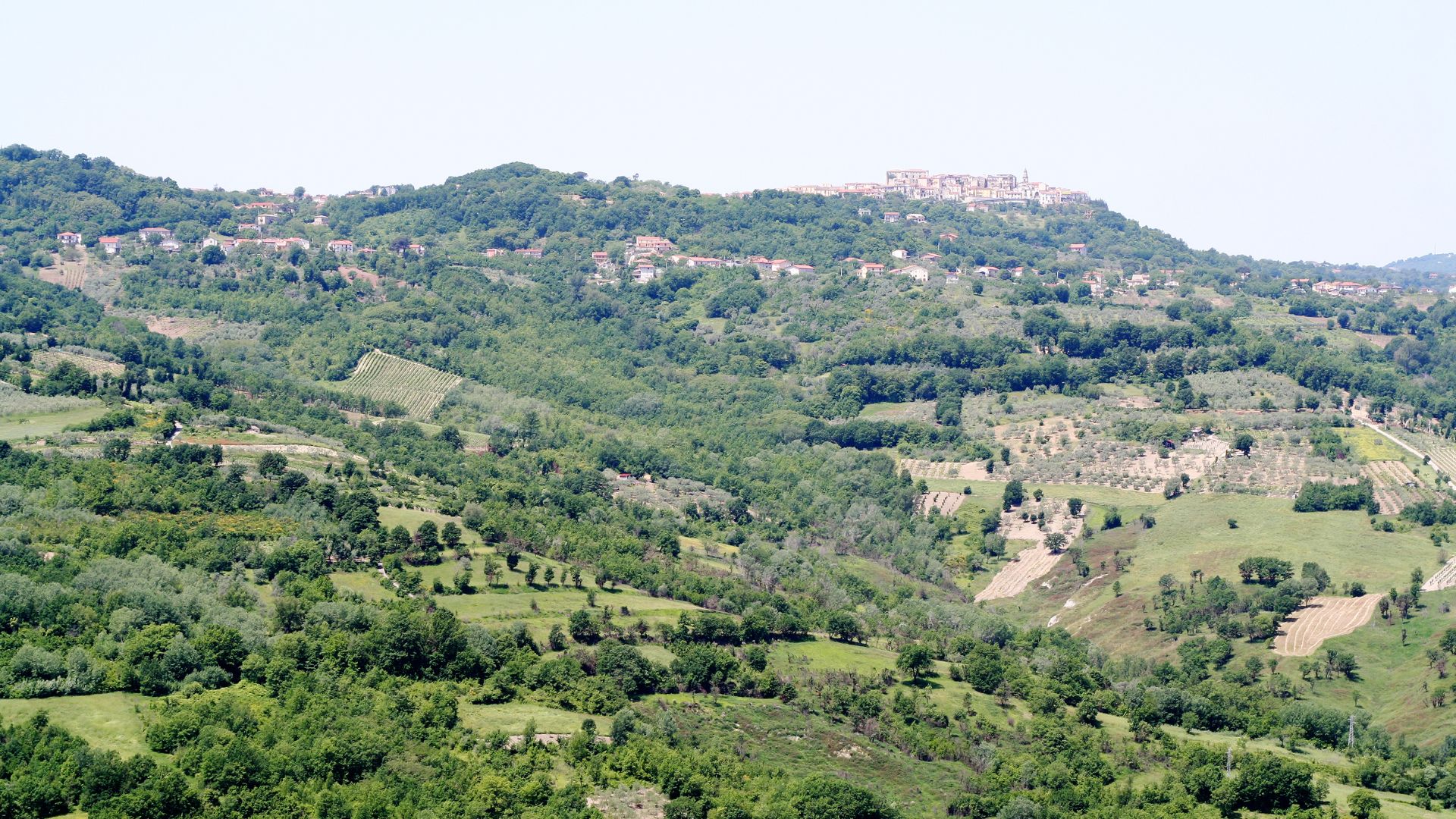 Irpinia: Wine tasting and guided tour - Photo 20