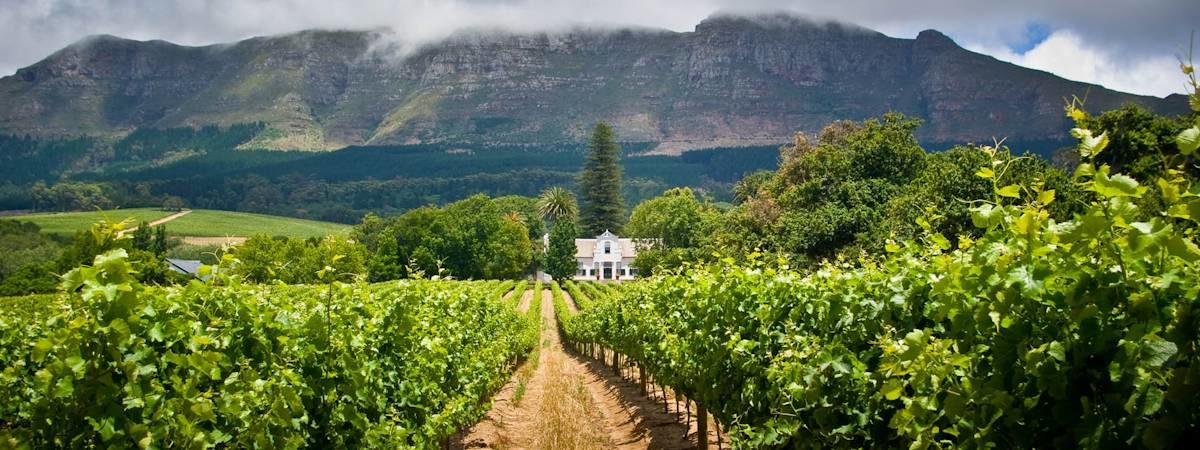 (Cape Town Tour) 3Days -Robben Island getaway & Table Mountain Car & wine taste  - Photo 15