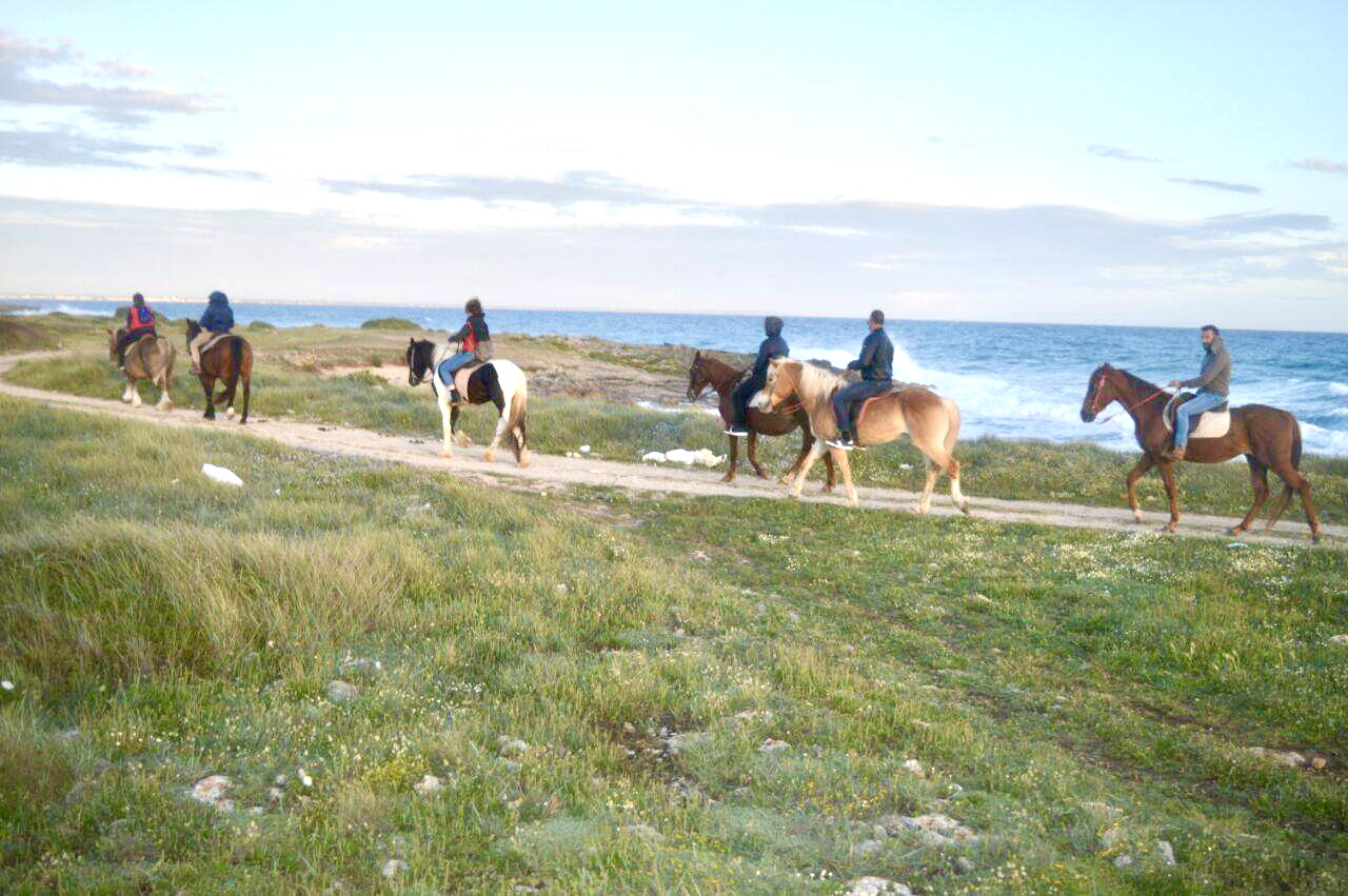 Horse ride in a Salento Nature Reserve with transfer from Lecce - Photo 5