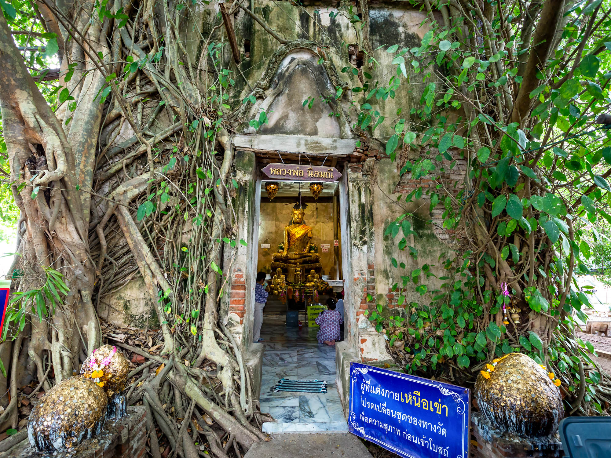 Amphawa Floating Market and Maeklong Railway Market Tour with Semiprivate or Private Option and Pickup - Accommodations in Bangkok