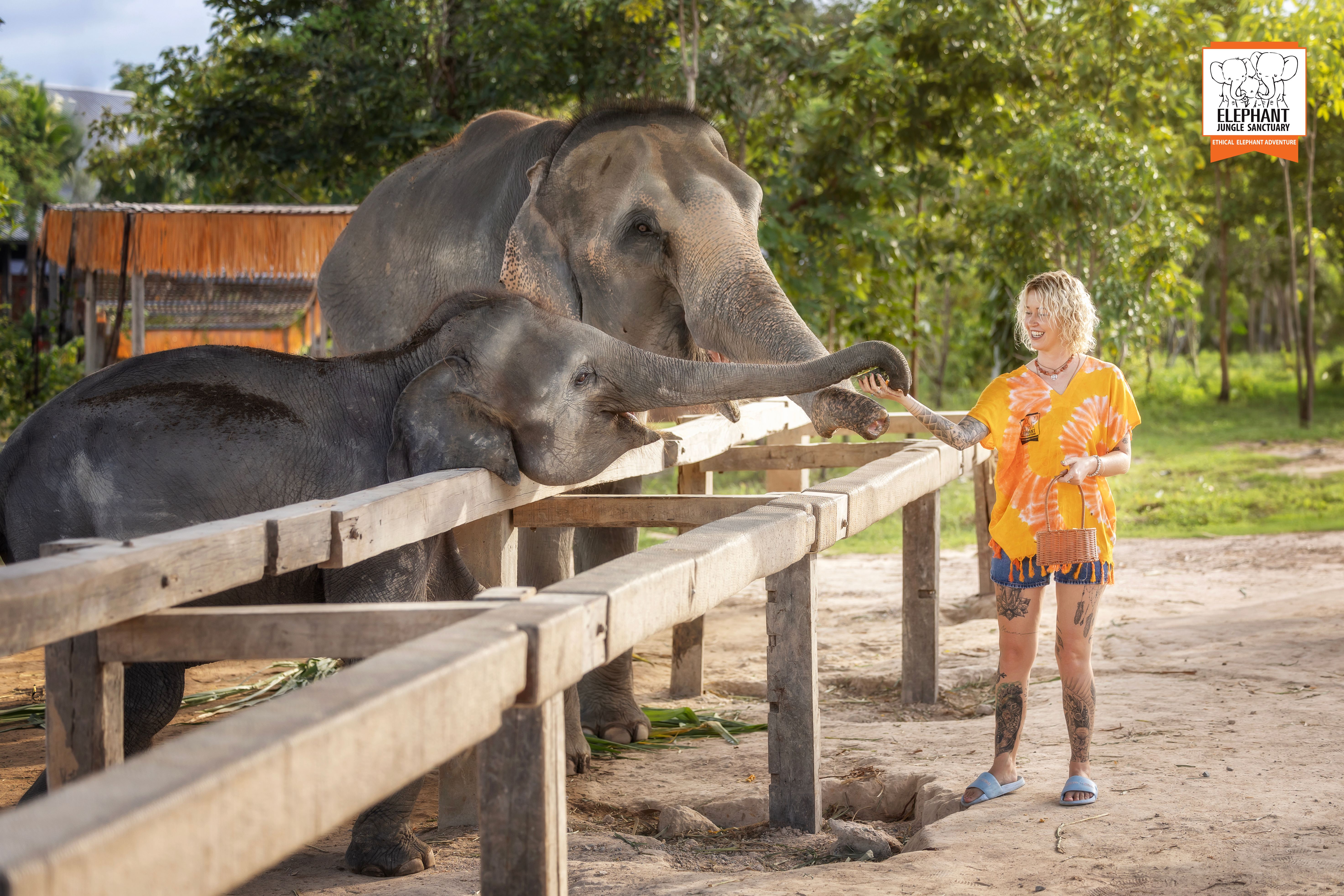 Chiang Mai: Beslenme ve Duş Deneyimi
