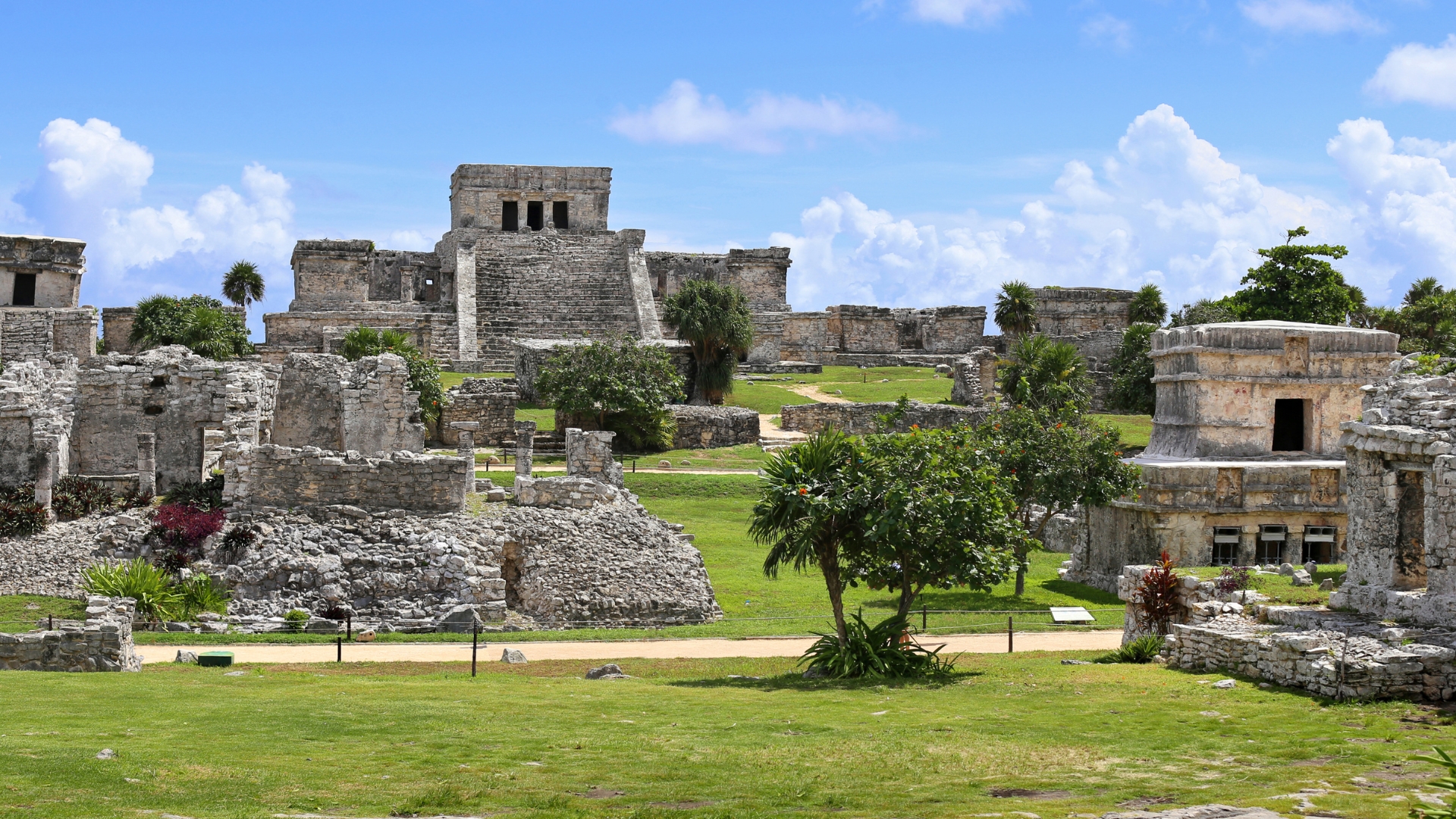 Desde Cancún: Tulum, cenote Mariposa y nada con tortugas en Akumal — 12/15