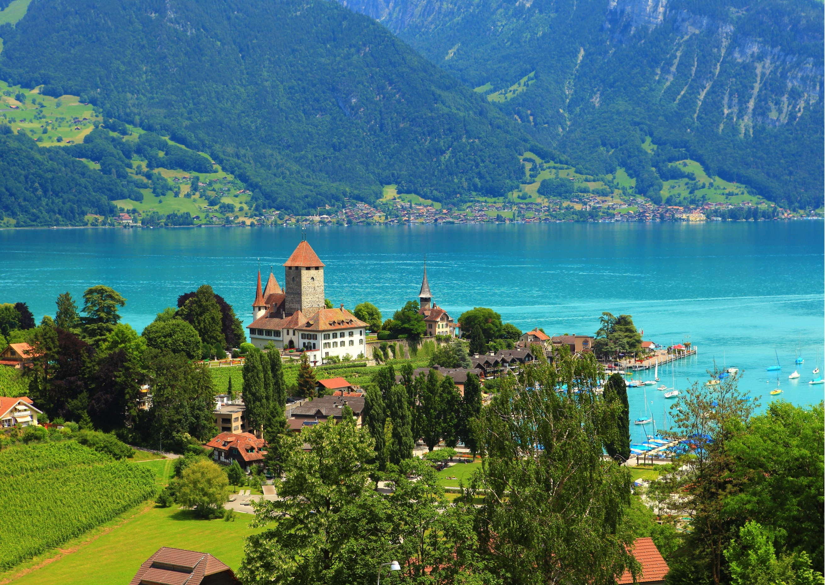 Lucerne:Private Daytrip to Swiss Villages(Interlaken-Grindelwald) - Photo 6