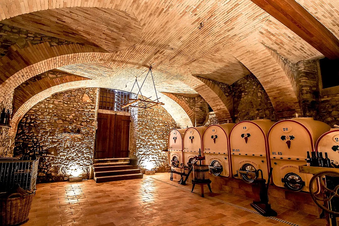 Vineyard Tour and Tasting of Lugana Wines - Photo 5
