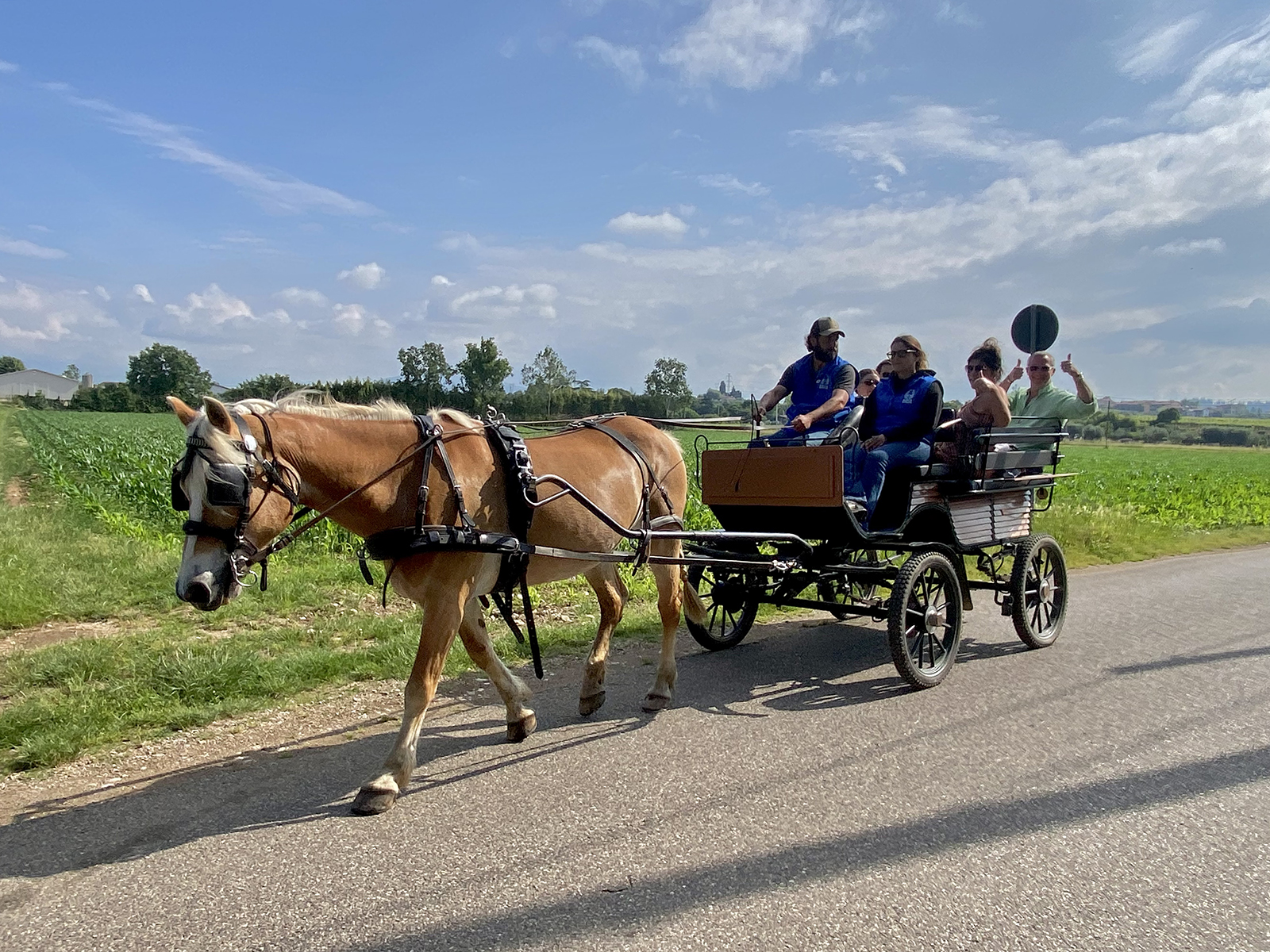 Horse Carriage Tour in Lazise: Romantic Lake Garda Experience - Photo 7