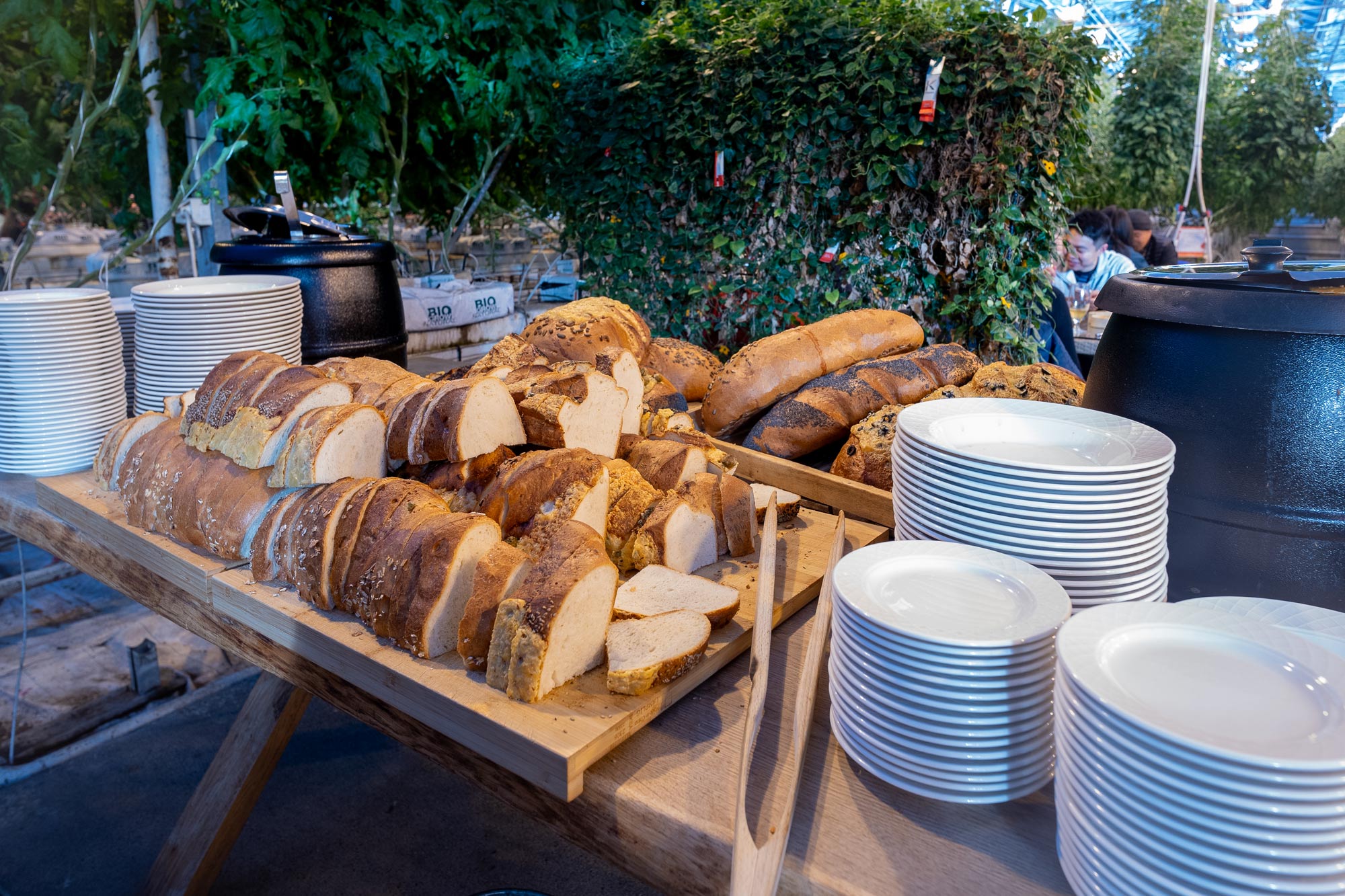 Golden Circle, Friðheimar Tomato Farm & Laugarás Lagoon - photo 17