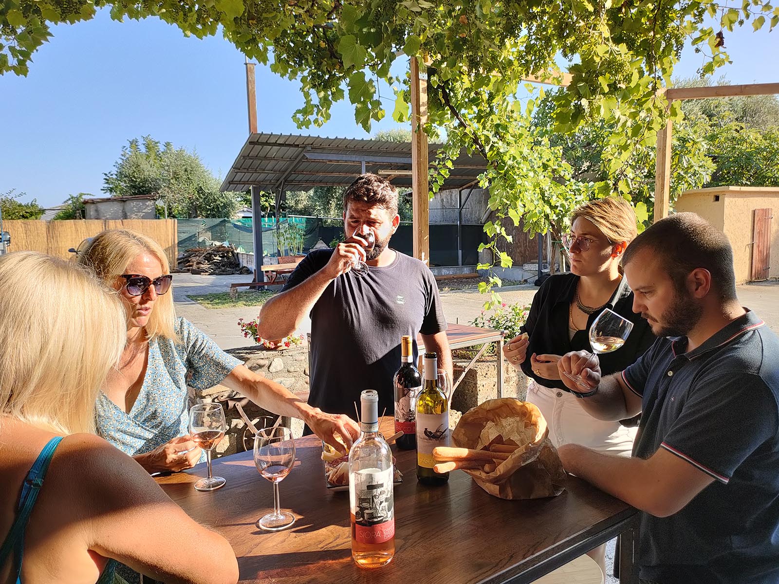 Vineyard tour and tasting of Garda Wines in Cavaion Veronese - Photo 9
