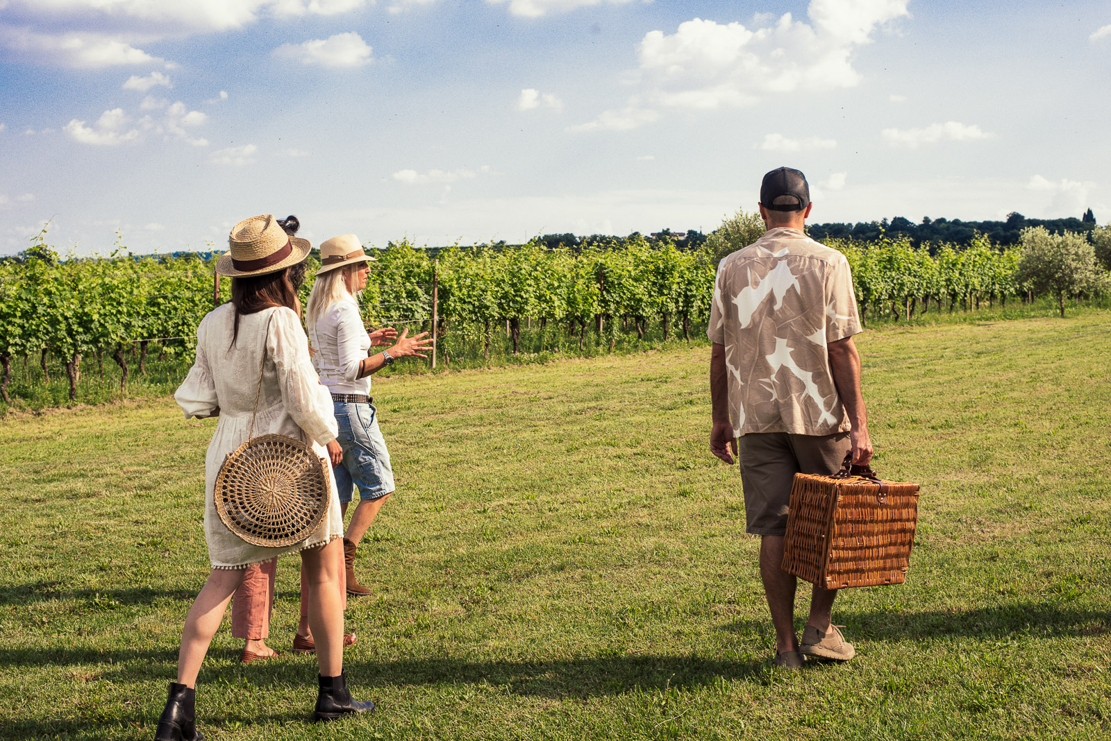 Pic Nic with Wine Tasting in the Vineyards - Photo 2
