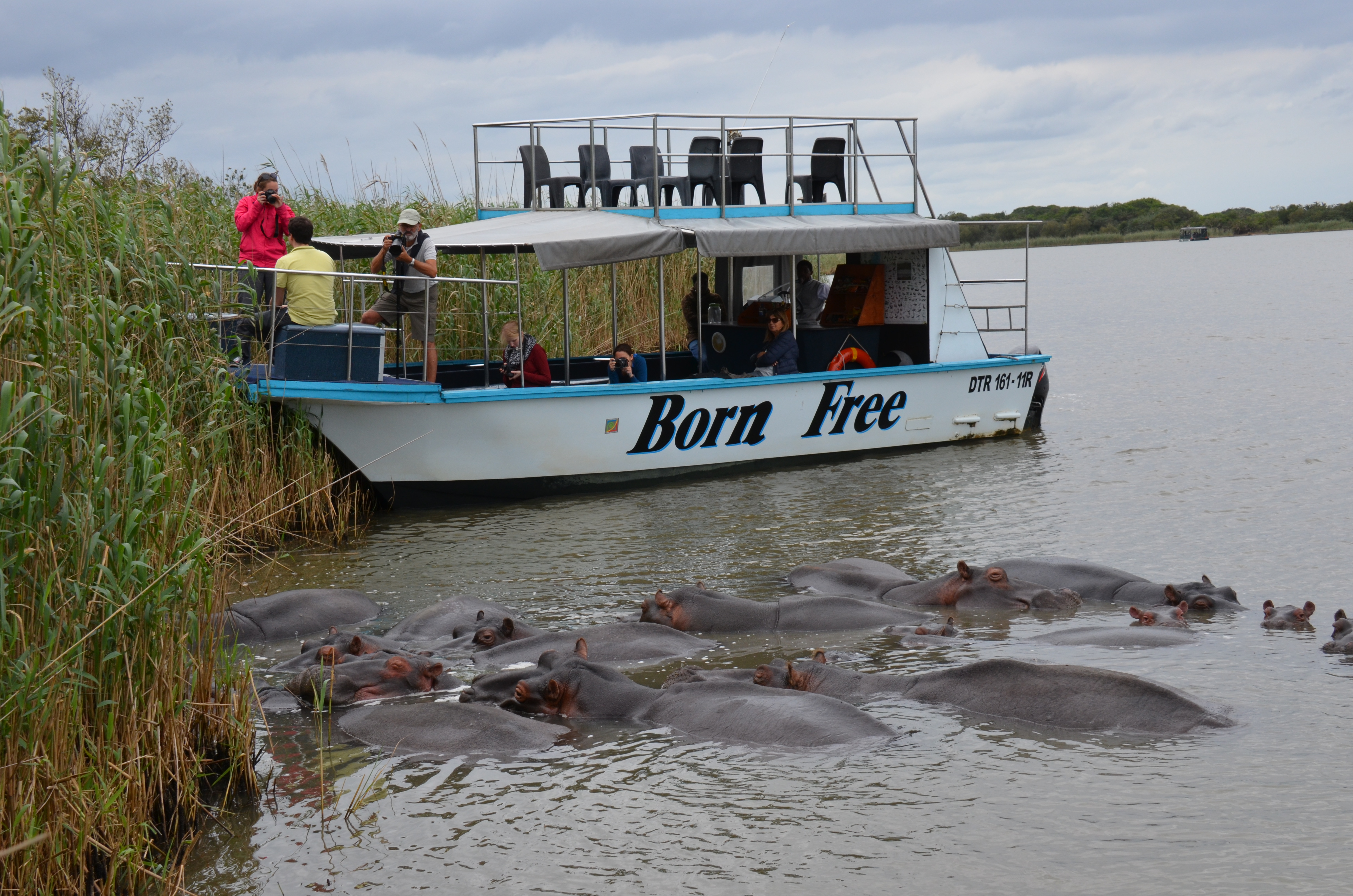 Safari en barco por Santa Lucía en Simangaliso - Foto 2