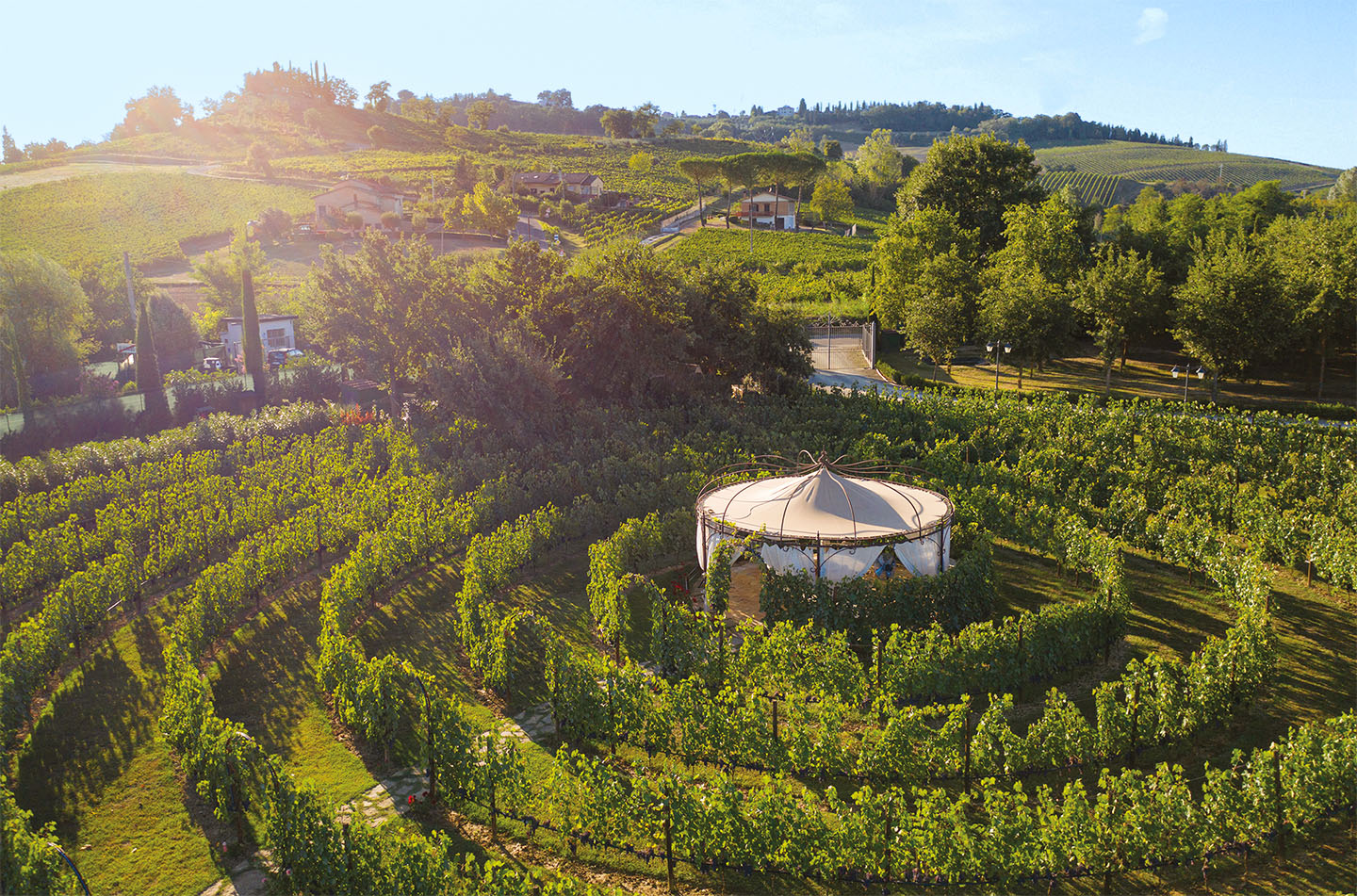 Vineyard Canopy Dinner & Wine Tasting in San Gimignano countryside - Photo 5