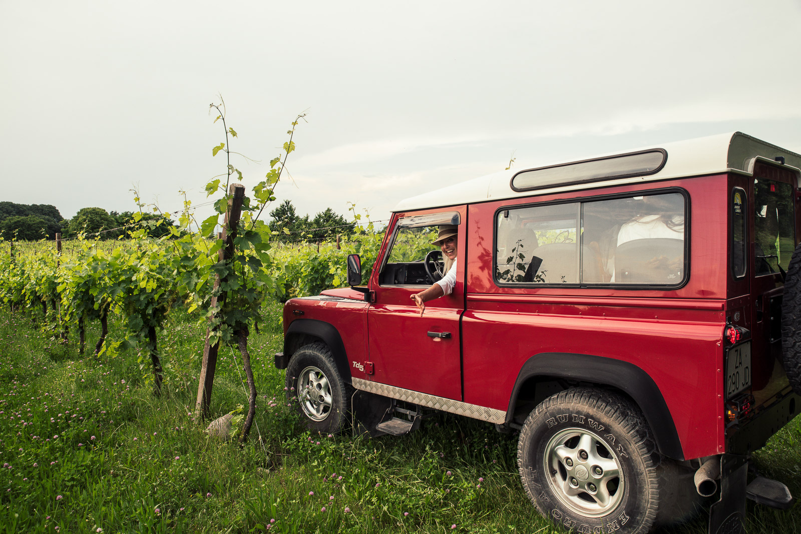4x4 Vineyard Tour with WineTasting Experience - Photo 12