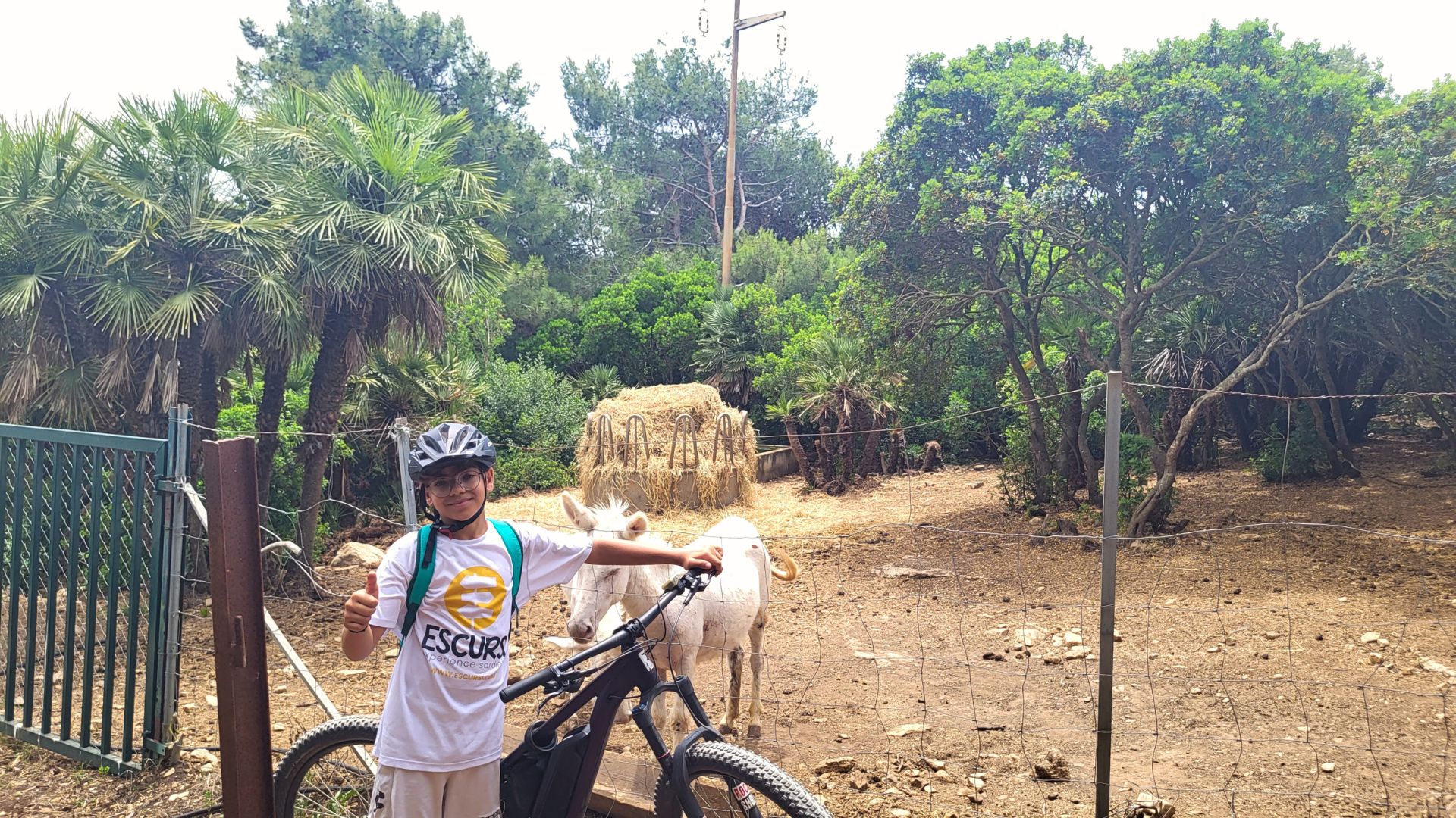 Alghero: ebike tour in Porto Conte Park - Photo 6
