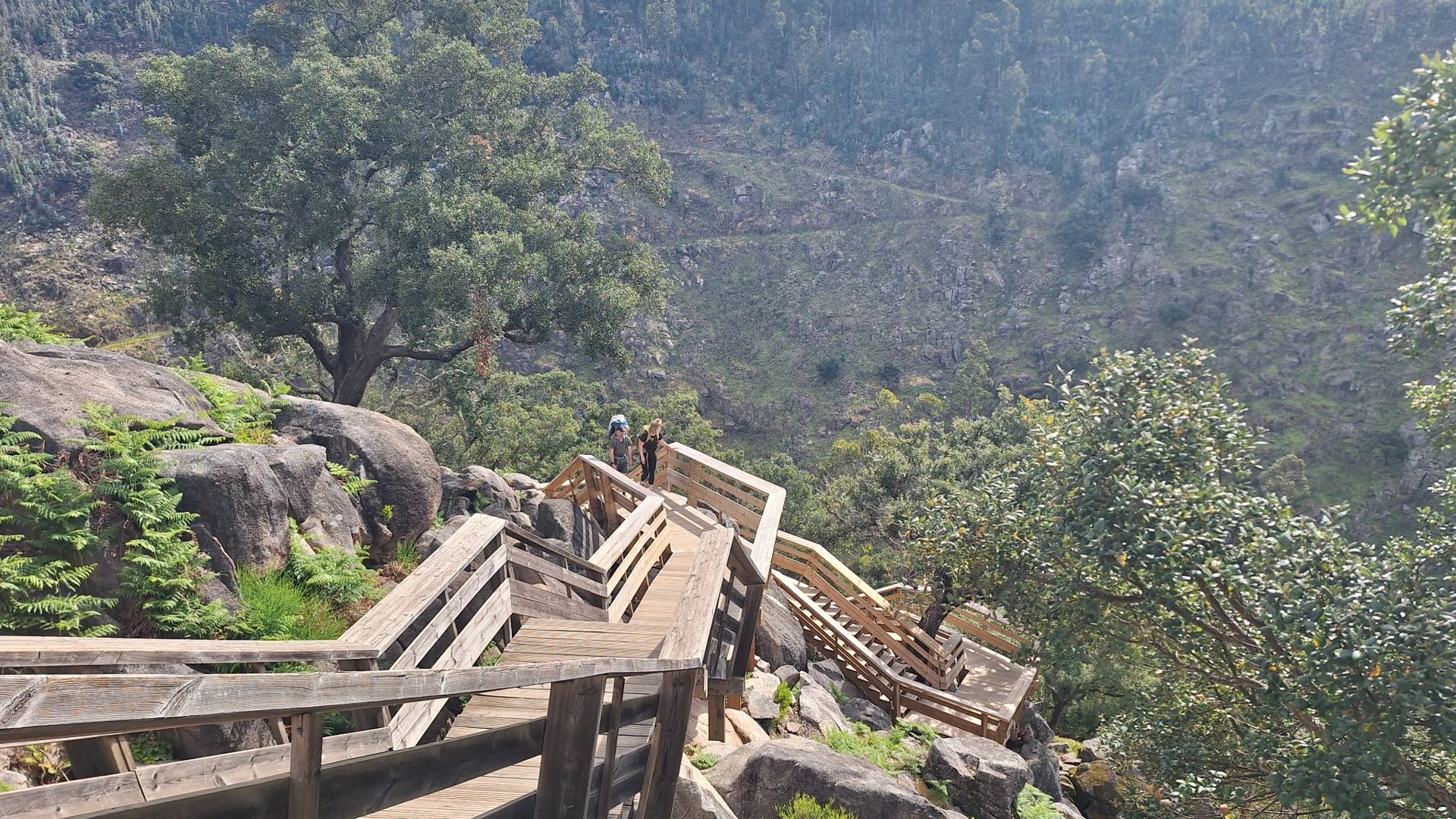 Private Paiva Walkways, 516 Bridge and Wine Tasting Tour - Photo 3