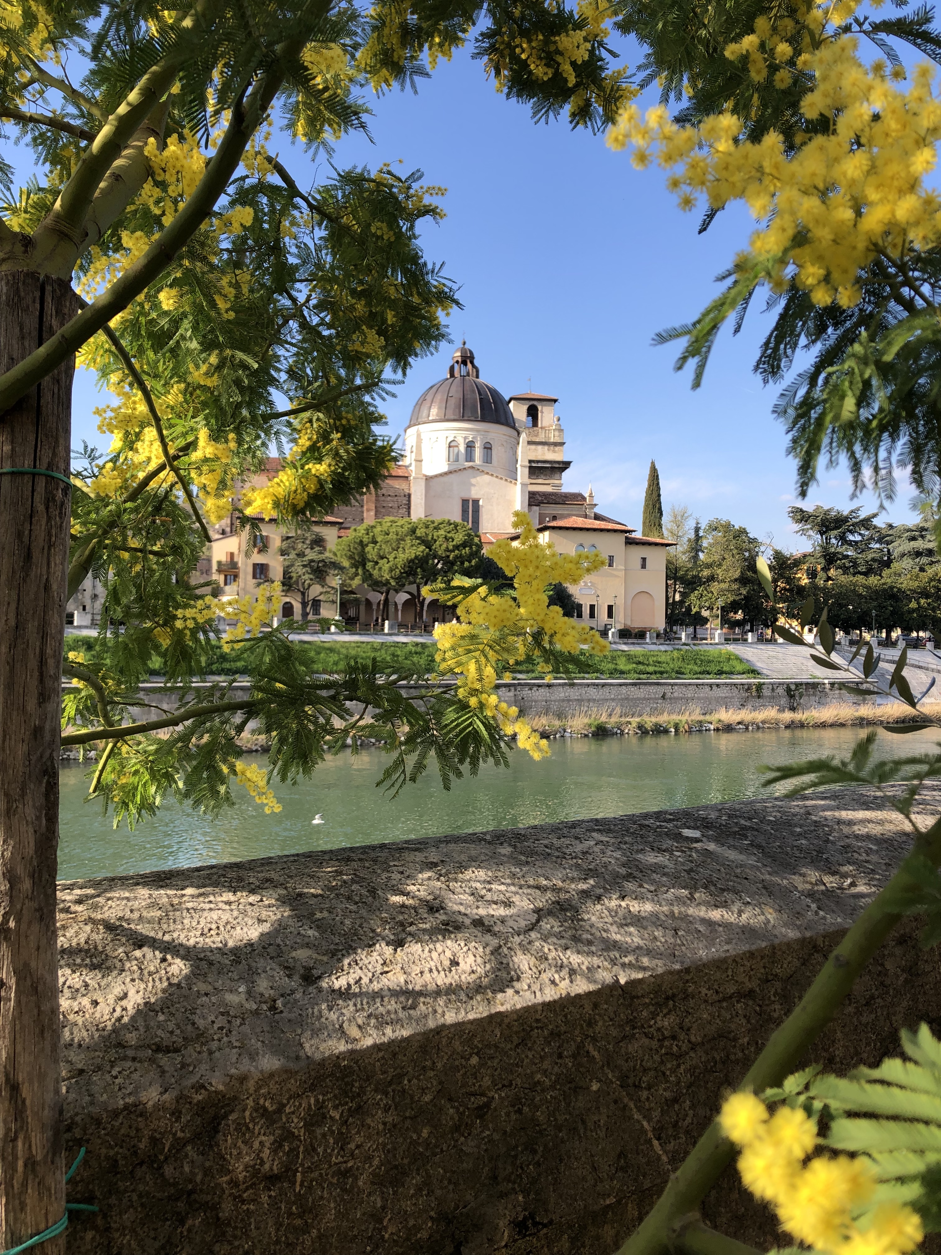 Discover Valpolicella by the River in Verona centre - Photo 5