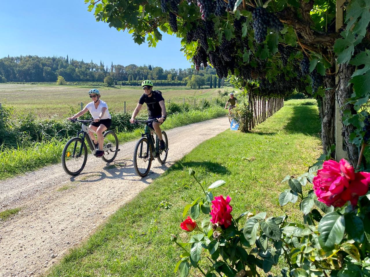 E-bike tour of the Austrian Fort with wine tasting from Pastrengo - Photo 10