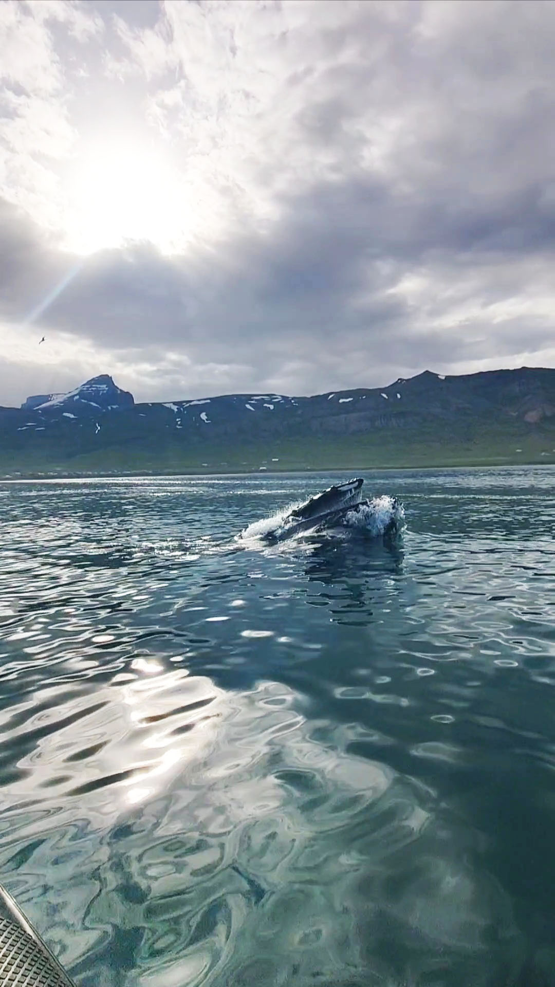 Secret Quest - photo 5