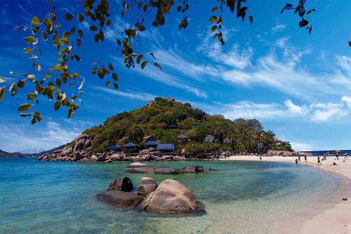SAMUI: Koh Tao - Parque Koh Nangyuan Naton en lancha rápida
