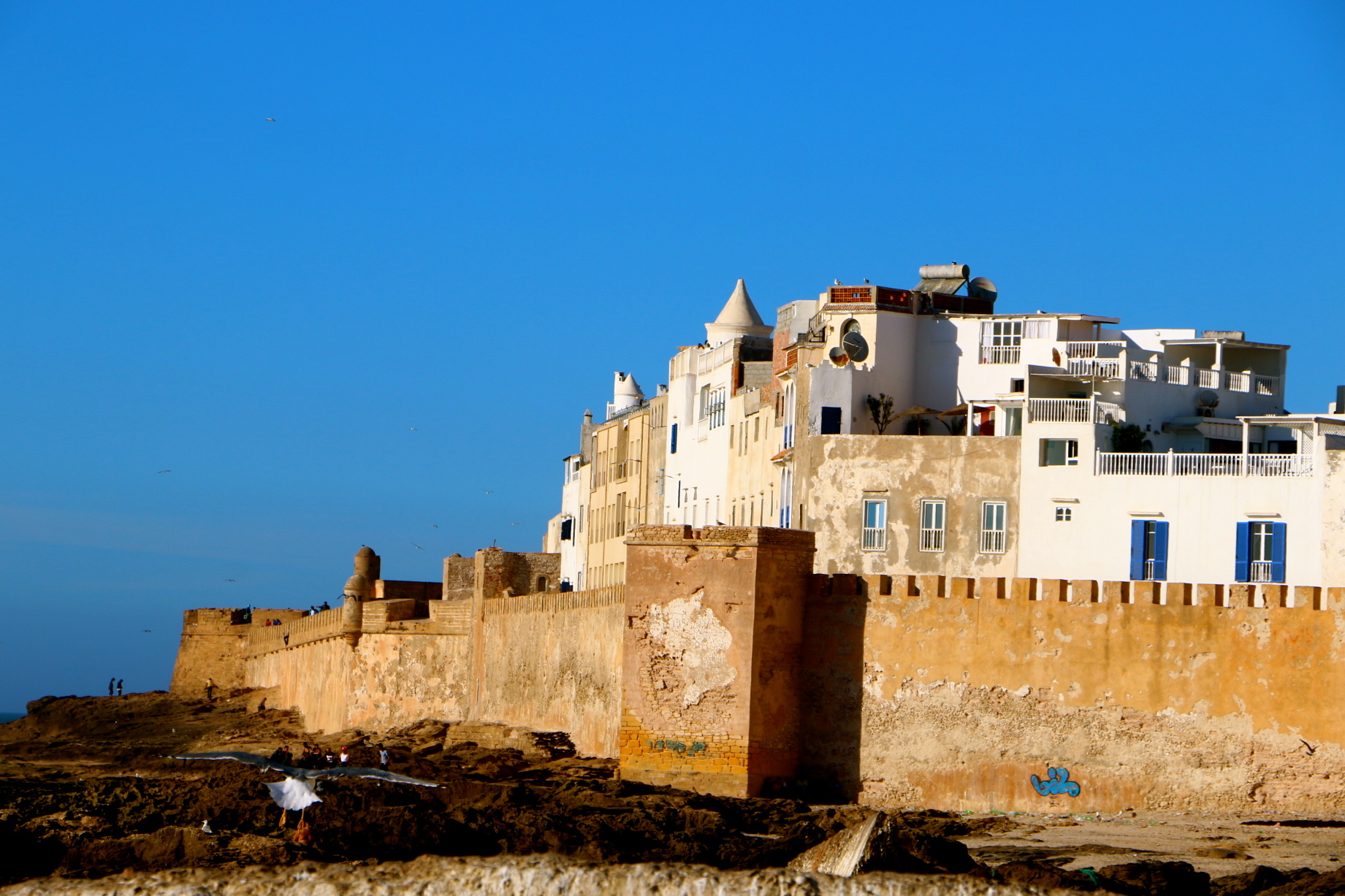 Excursión privada de un día a Essaouira desde Marrakech