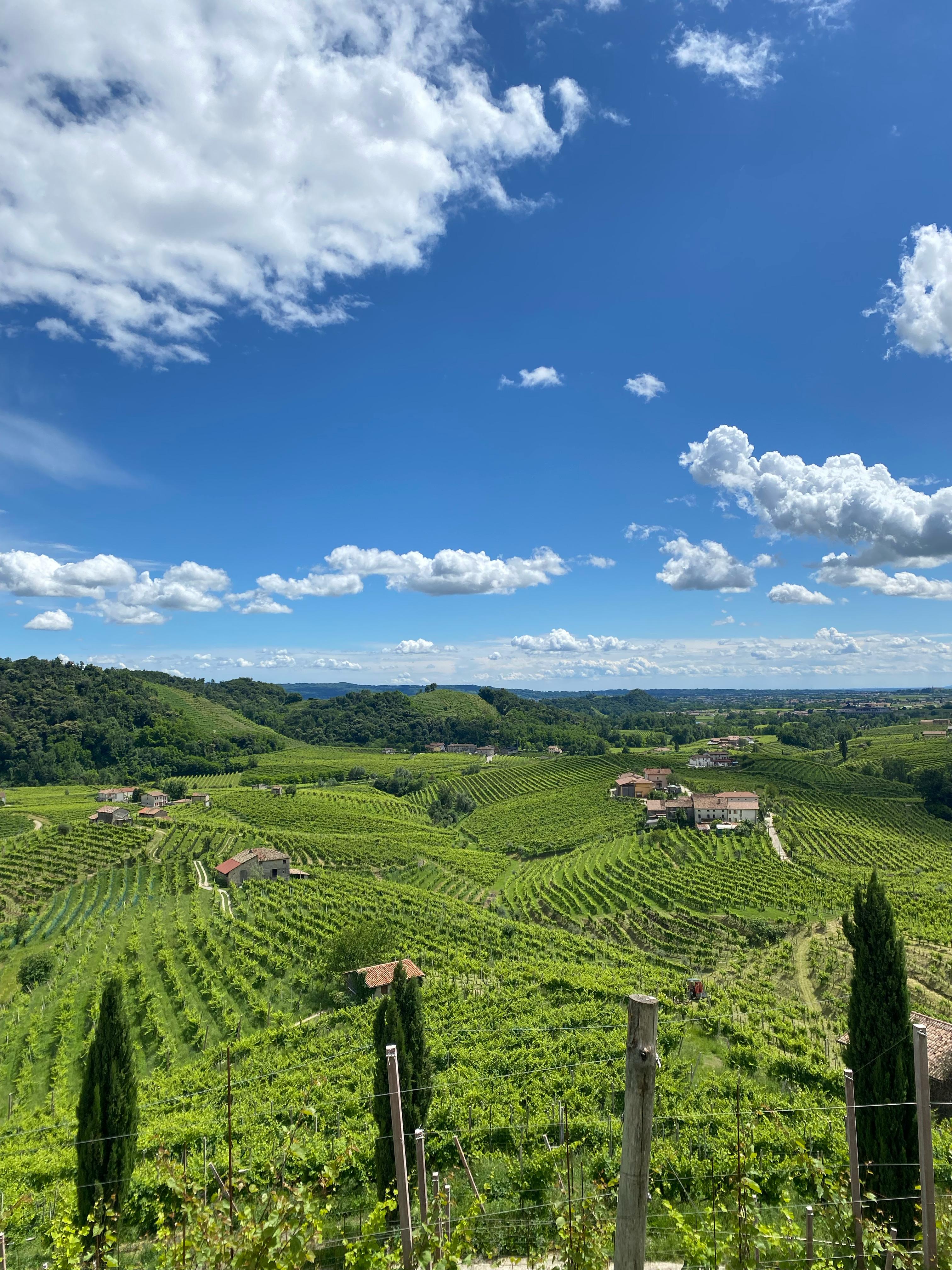 Prosecco Hills wine tour - Photo 6