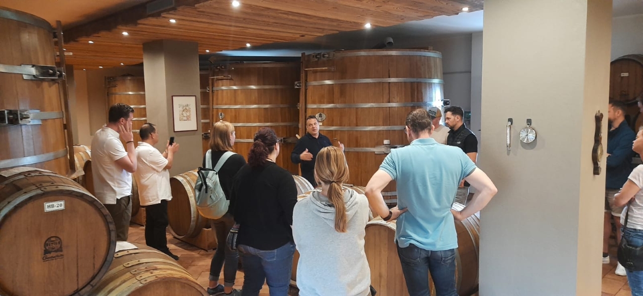 Modena: shared guided tour and tasting of superb Balsamic Vinegar + aperitif - Photo 2