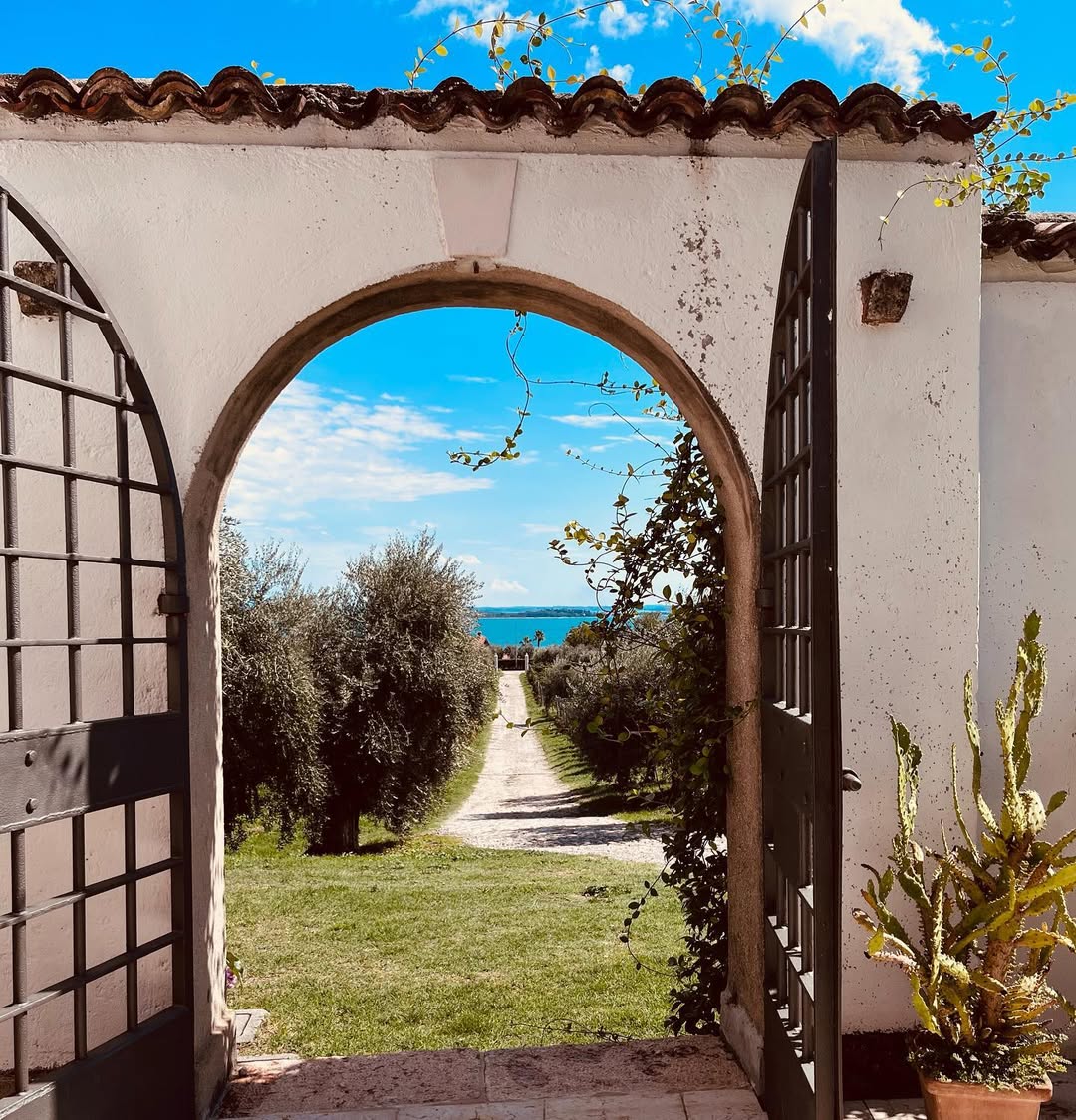 Wine tour and tasting with Lake view in Moniga del Garda - Photo 8