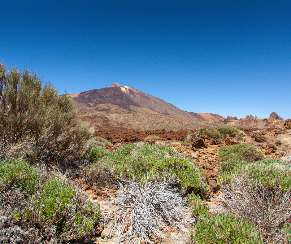 Teide con visita a bodega - Photo 6