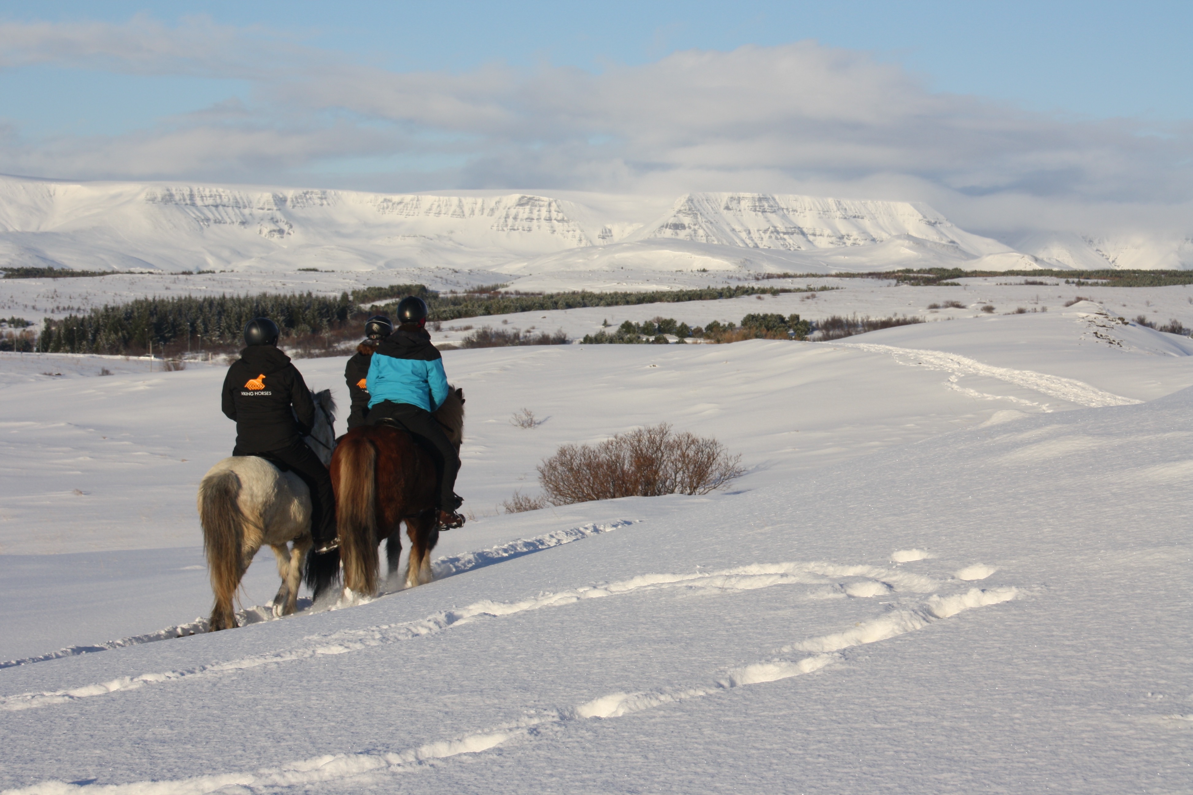 On request: 1,5  Hours Private Tour 