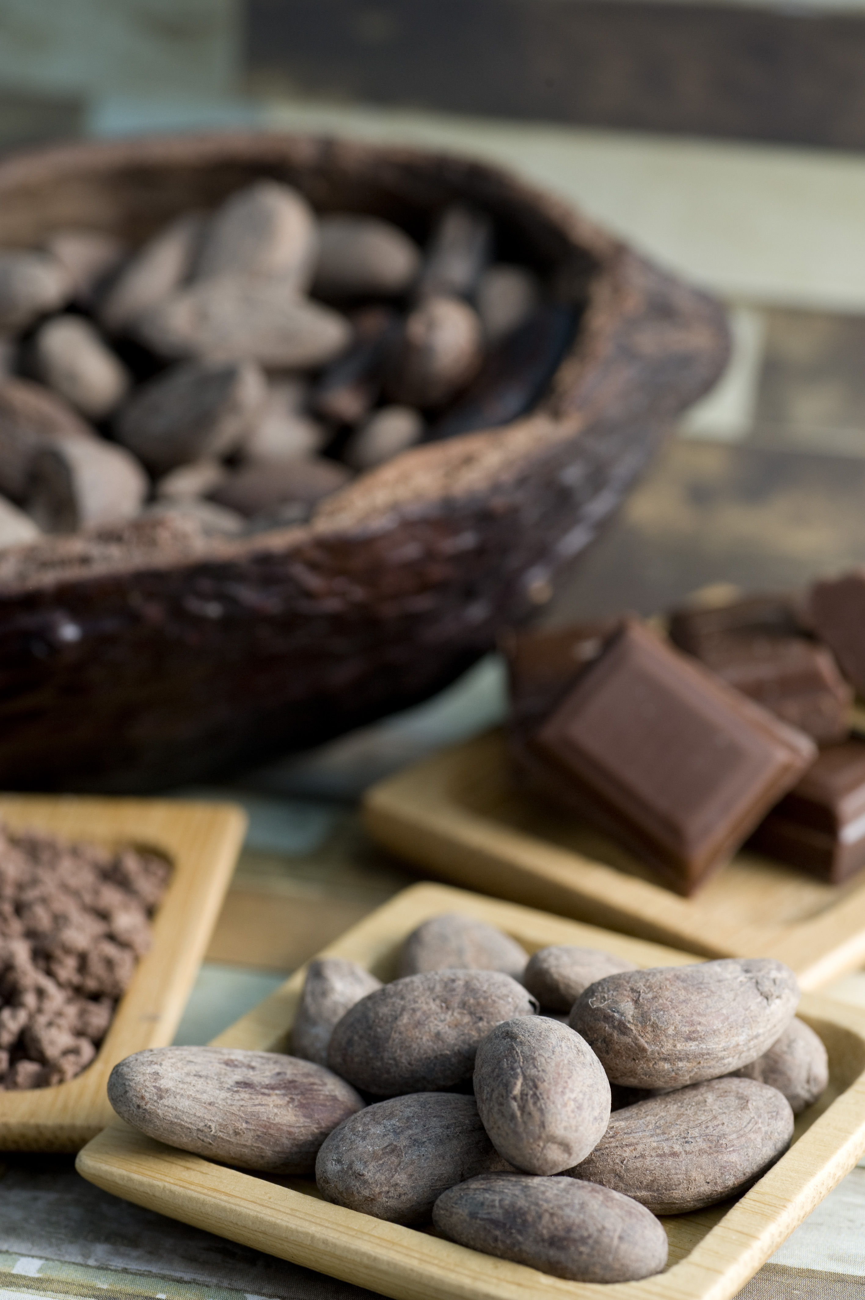 Desde Mérida: Uxmal, Cenote Sambula y Museo del Chocolate ChocoStory — 12/16