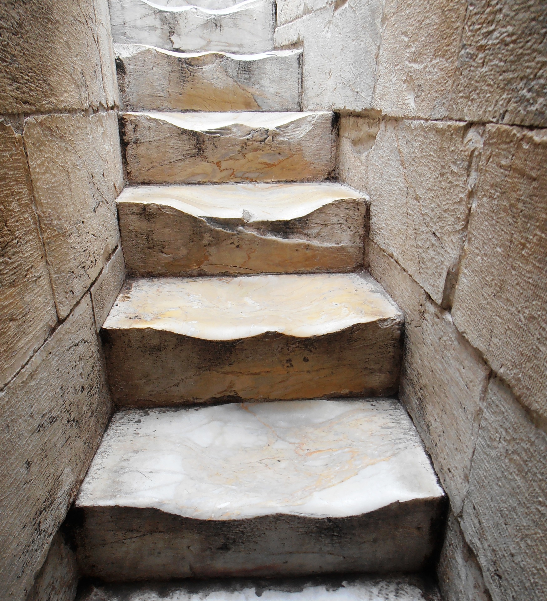 Pisa: Cathedral guided tour, Leaning Tower ticket and Wine Tasting  - Photo 9